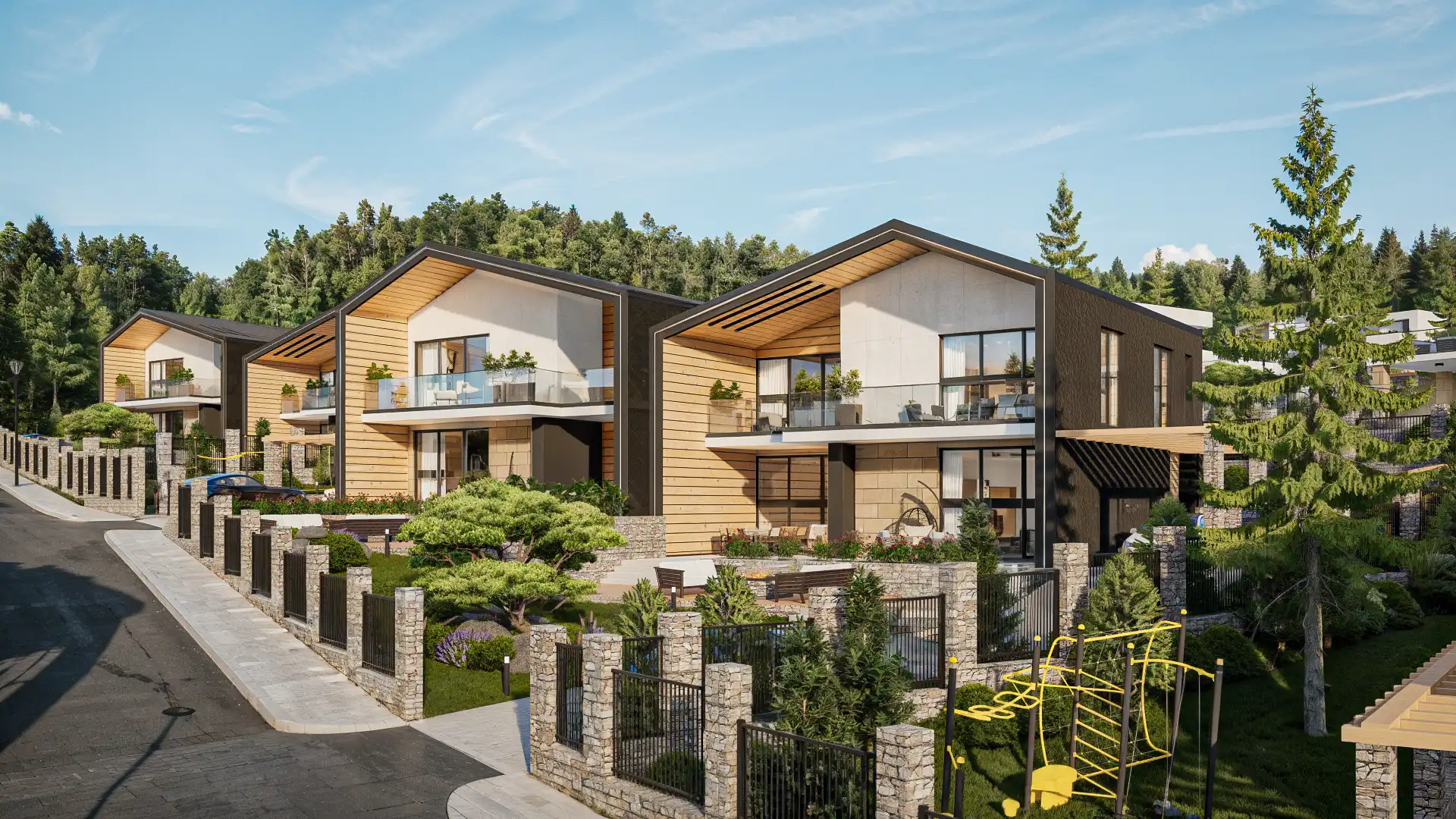 Проект снимка